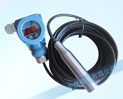 數顯投入式液位變送器